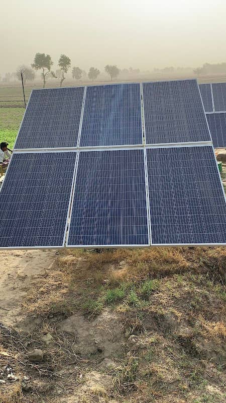 Johal farm(Banda Colony) - Image 1