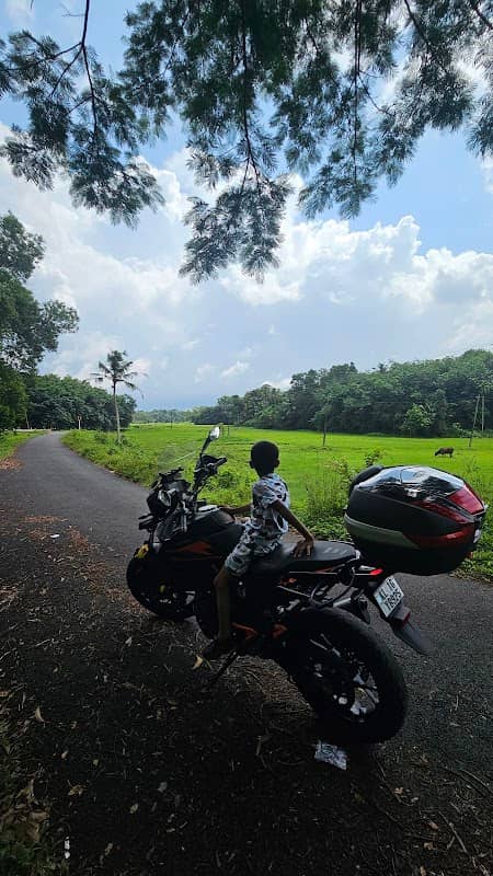 Kattaparambu paddy view point - Image 1