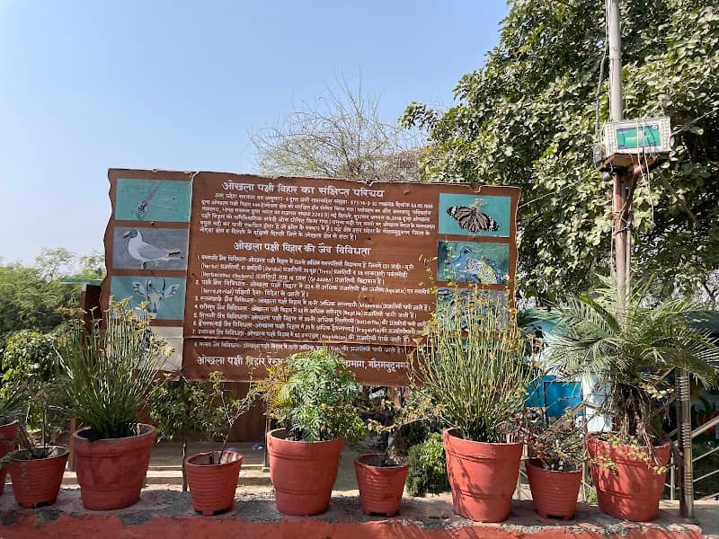 Gate No 1, Okhla Bird Sanctuary - Image 3