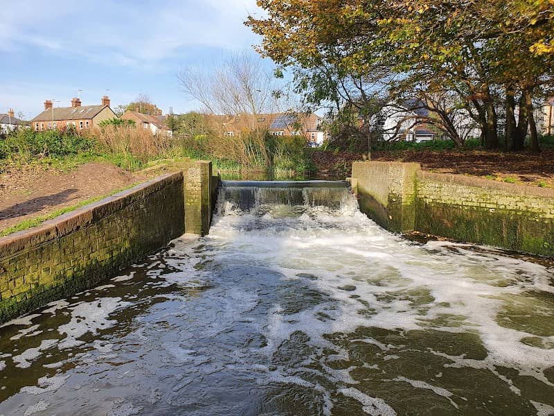 Batford Springs Nature Reserve - Image 1