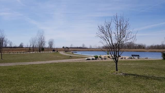 McIntyre Park - Image 1