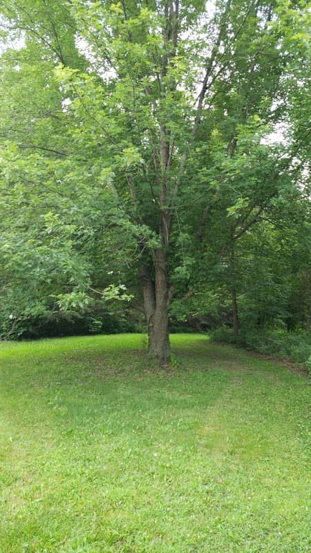 Marshall Manor Park - Image 2
