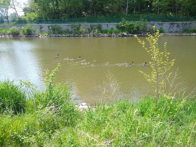 Riverside Park - Image 3