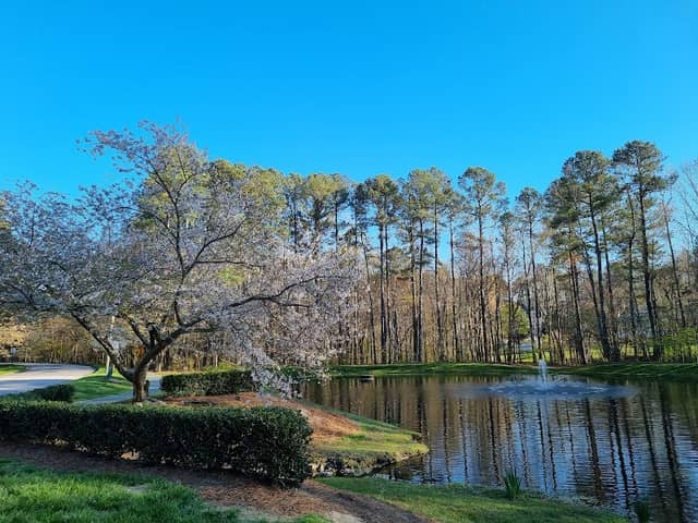 White Oak Creek Greenway - Image 2