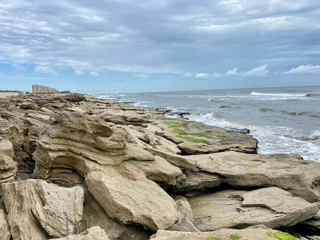 The Rocks-Washington Oaks State Park - Image 3