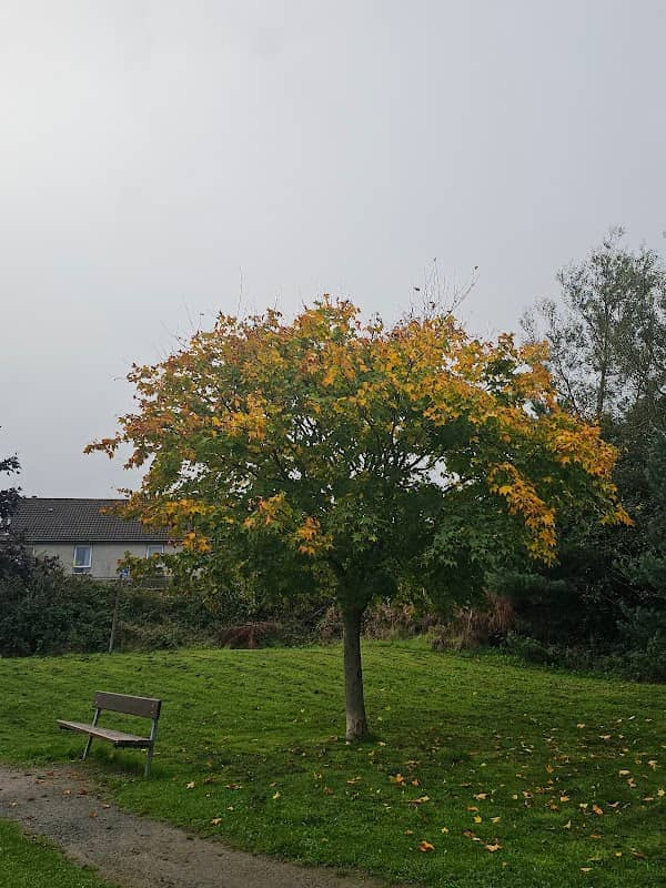 Platinum Jubilee Park - Image 1