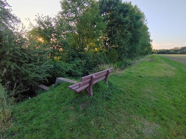 Fischtreppe Diepenau - Image 1