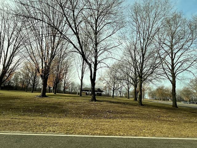 Bluebird Picnic Area - Image 3