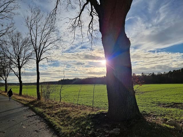 Wanderweg - Image 1