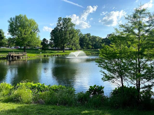 Des Peres Park - Image 2