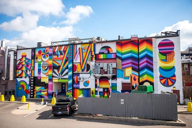 Joey Salamon Mural (A2AC Murals) - Image 2