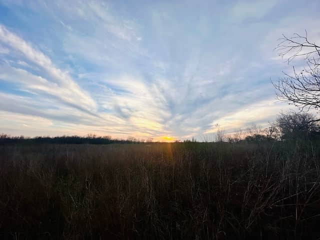 Oak Meadows Park - Image 2