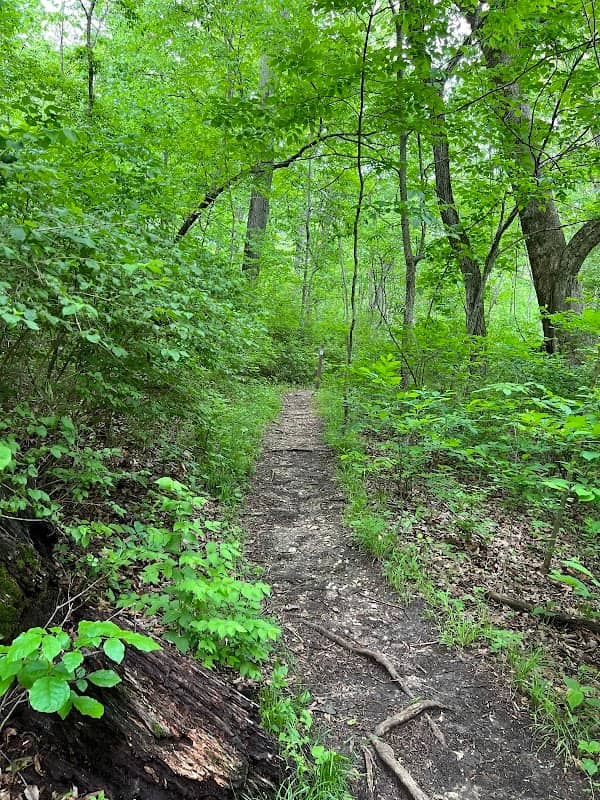Woodbine Trailhead - Image 1