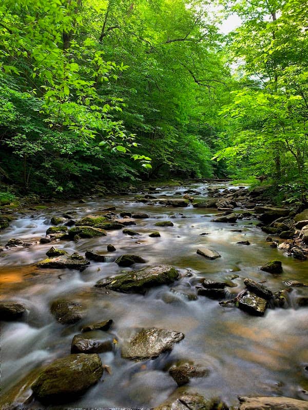Natural Bridge State Park - Image 3