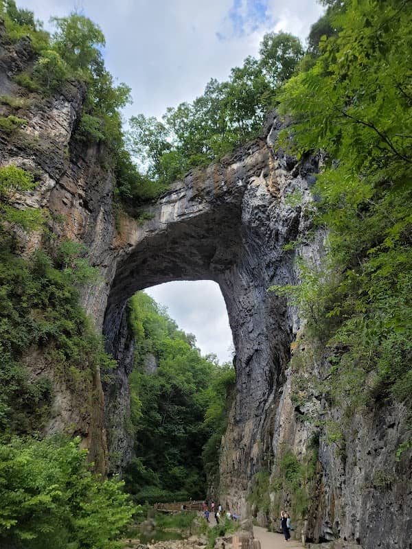 Natural Bridge State Park - Image 2