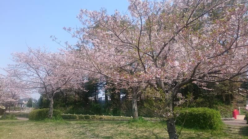 Kanbe Park - Image 1