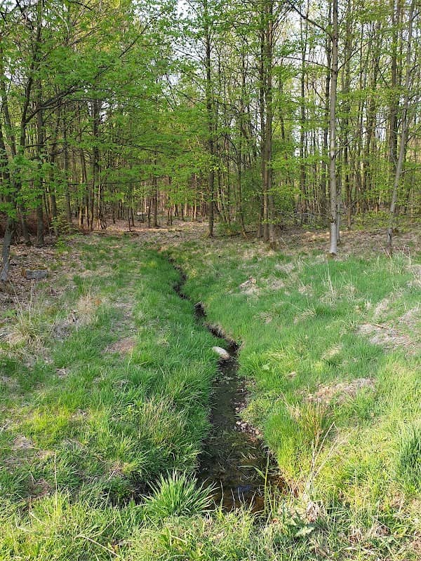 Ahnequelle - Image 1
