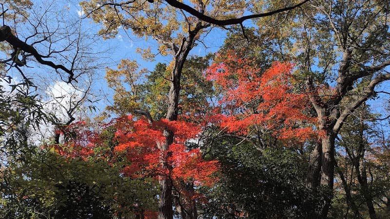 物見峠 - Image 1