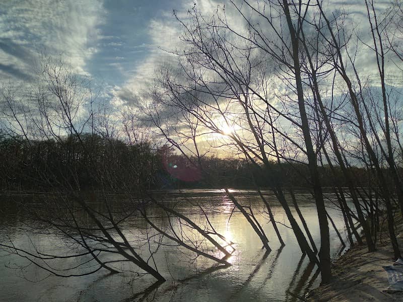 Buzzard Roost - Image 2