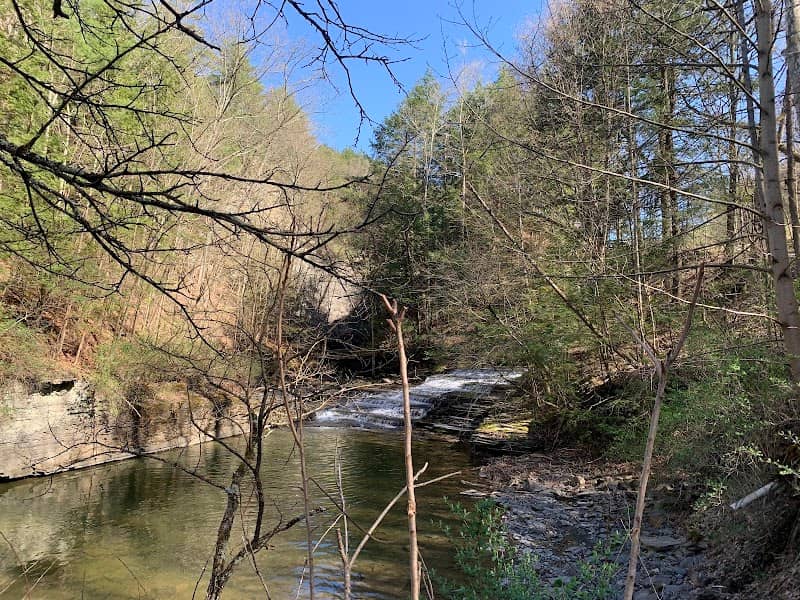 Buttermilk Picnic Spot - Image 1