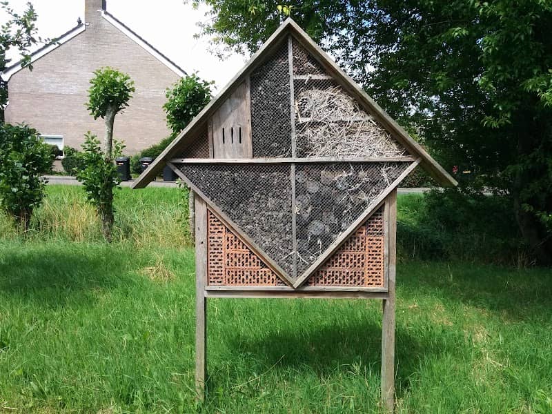 Appelhof Winsum - Image 1