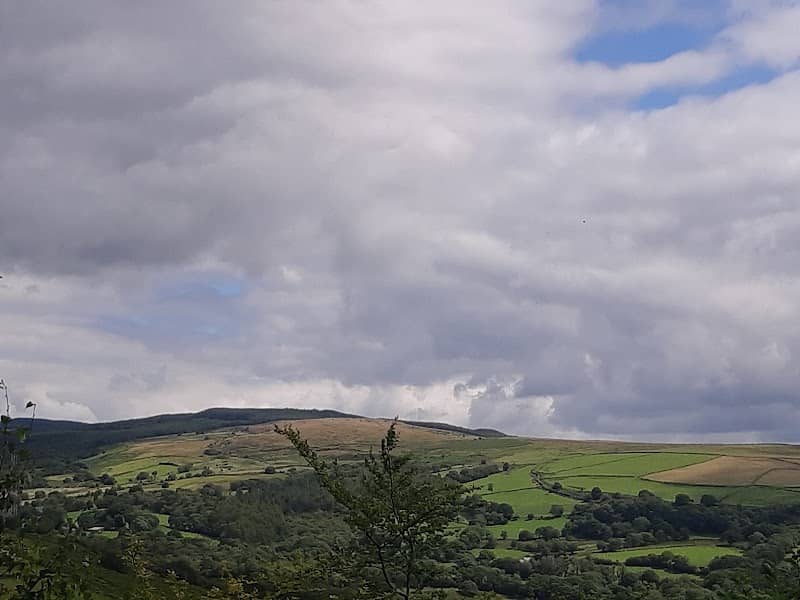 Craig Gwladys Country Park - Image 1