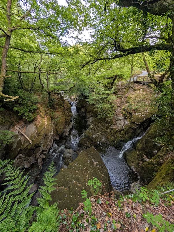 Craig Gwladys Country Park - Image 2