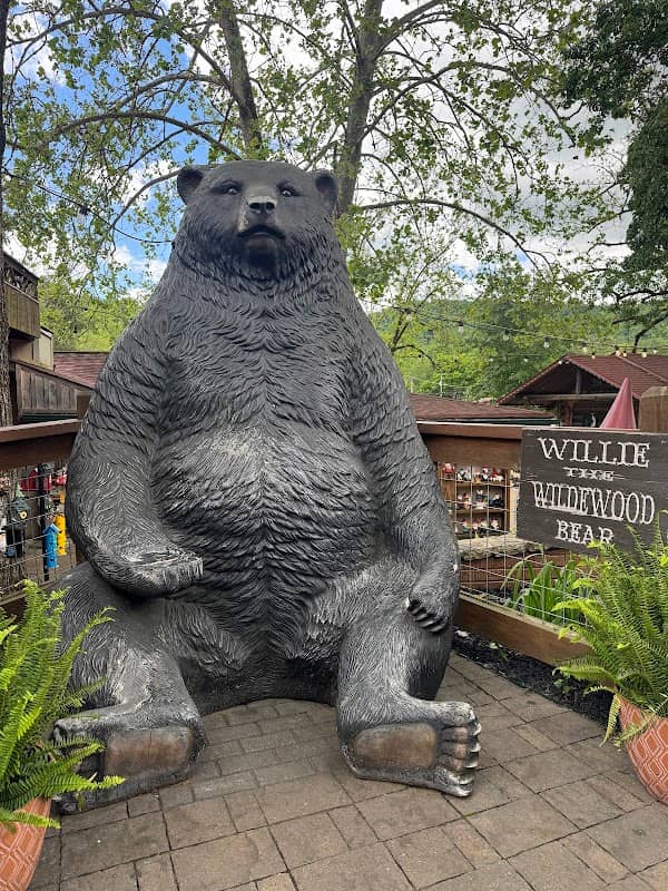 Willie The Wildewood Bear - Image 1