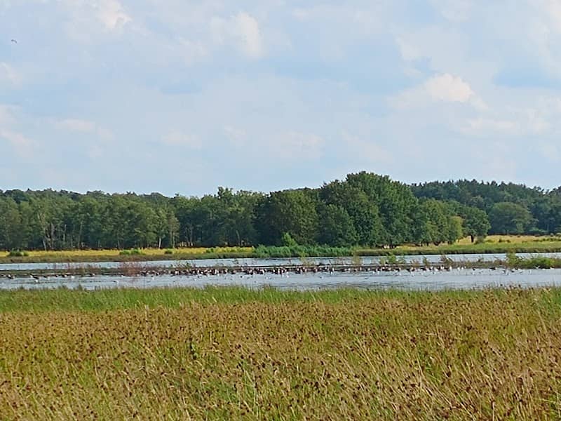 De Borkeld Elsenerveen - Image 1