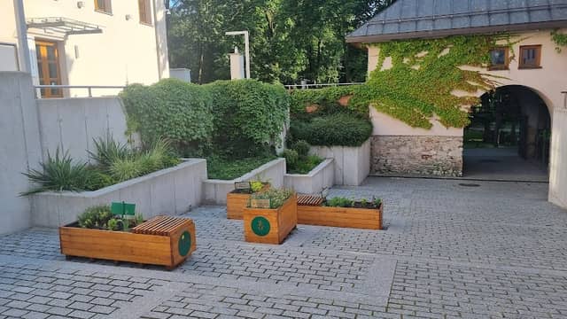 Zielnik miejski - Image 3