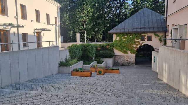 Zielnik miejski - Image 1