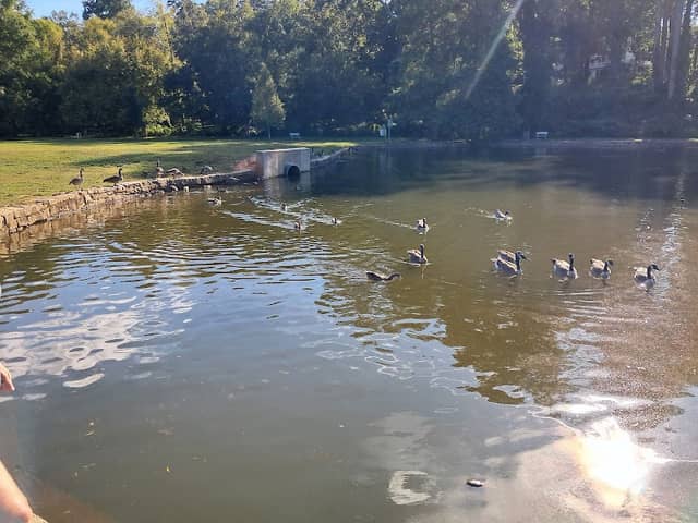 Salisbury City Park - Image 2