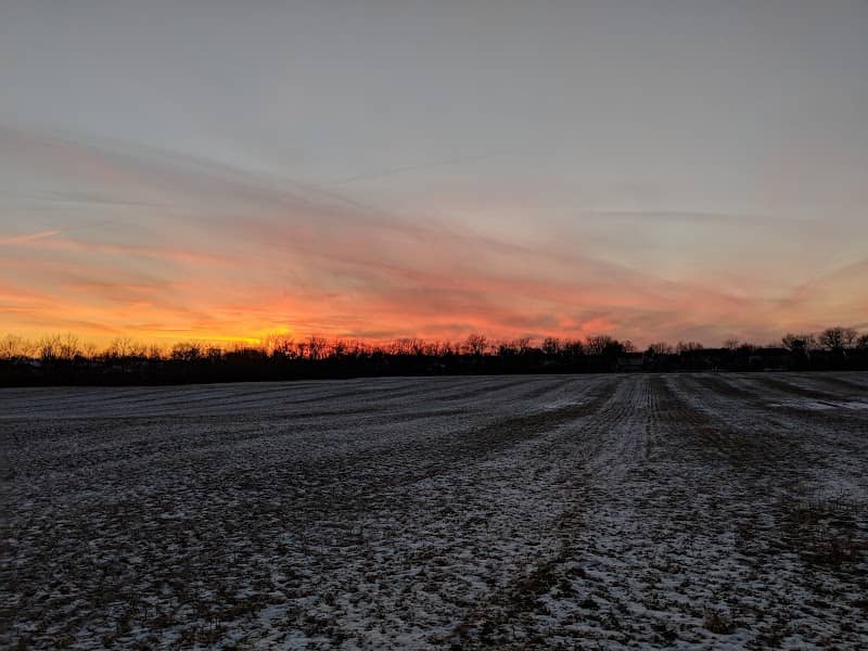 Meadows Park - Image 1