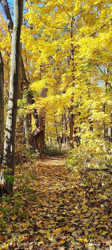Elm Creek Woods Open Space - Image 2