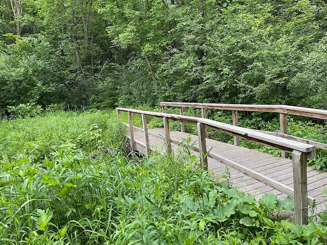 Elm Creek Woods Open Space - Image 1