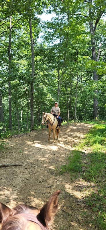 Shawnee State Forest Horse Campground - Image 1