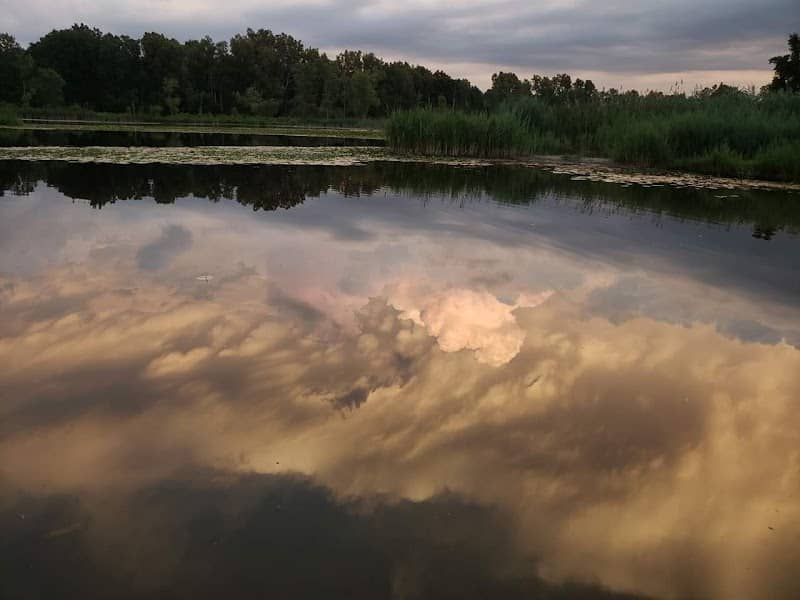 Griswold Park - Image 1