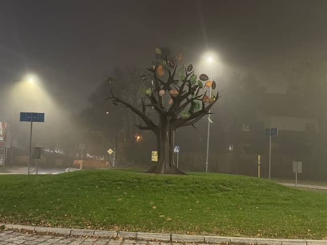 Brzezińskie Roundabout "With a Tree" - Image 2