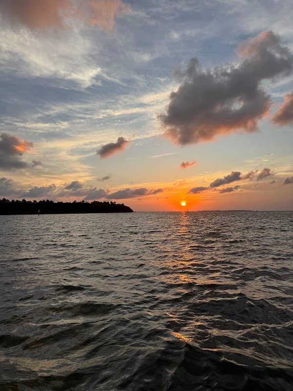 Captain Doug’s Cedar Key Tours - Image 3