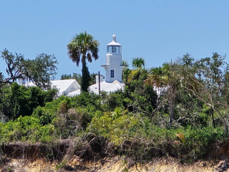 Captain Doug’s Cedar Key Tours - Image 1