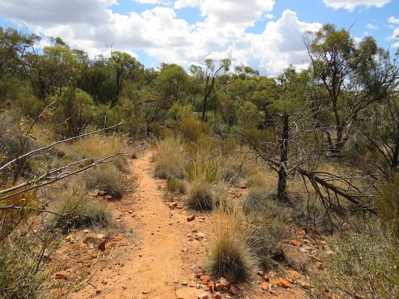 Quorn Native Flora Reserve - Image 1