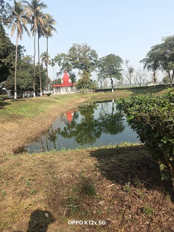Dari Nala near Lal Mandir - Image 1