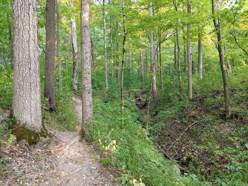 Taylorsville MetroPark - Image 2