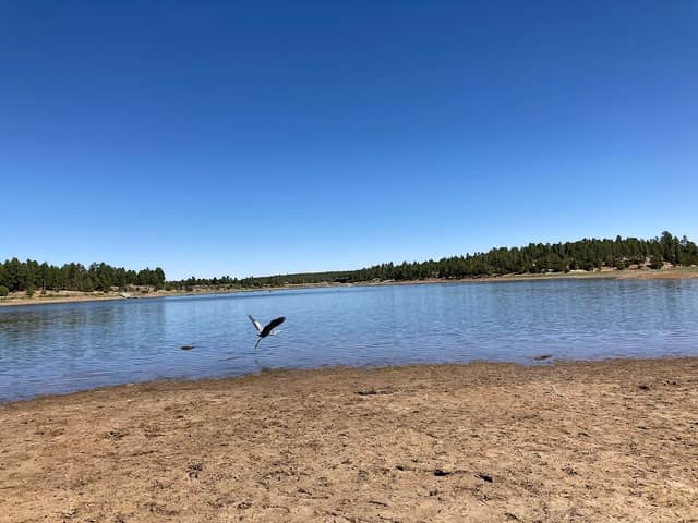 Fool Hollow Lake - Image 1