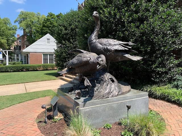 Waterfowl Festival Inc - Image 2