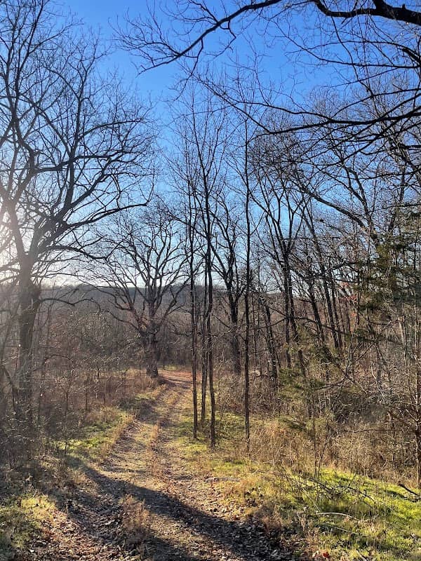 Wire Road Conservation Area North Trailhead - Image 1