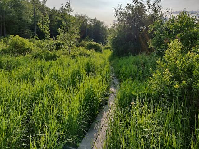 Cranberry Meadow Pond Trail Head - Image 1