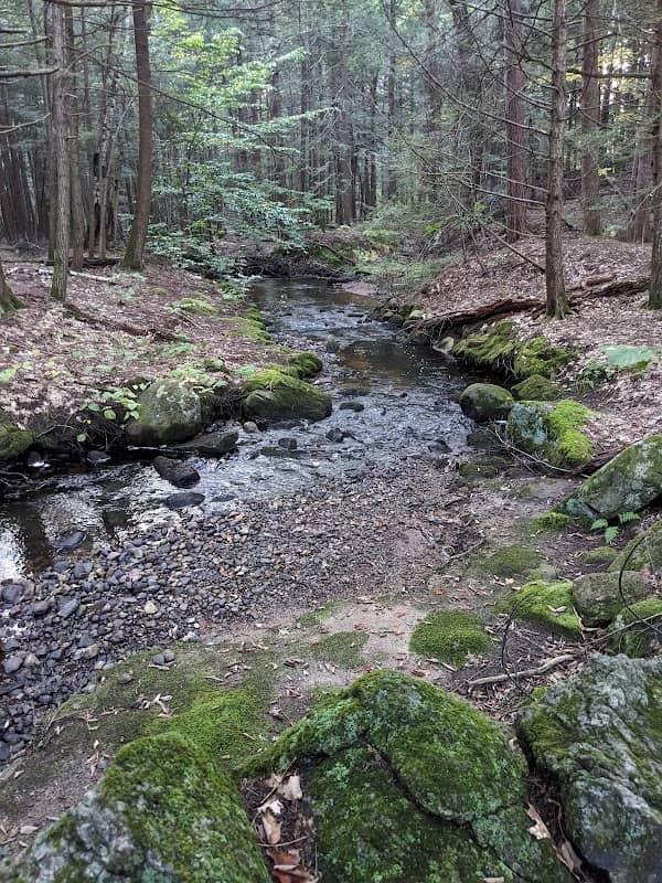 Cranberry Meadow Pond Trail Head - Image 2