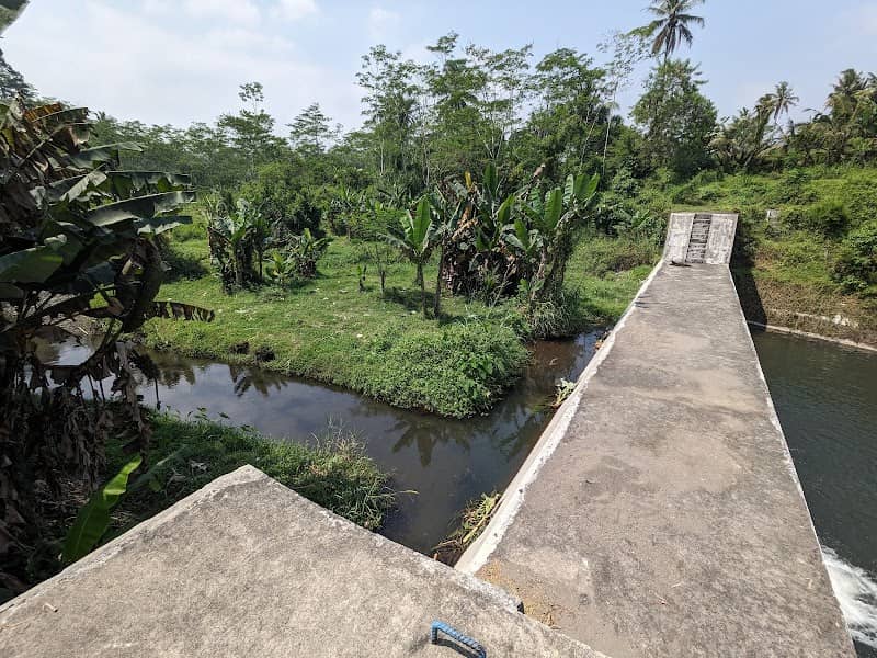 Dan Kaliputih - Image 1