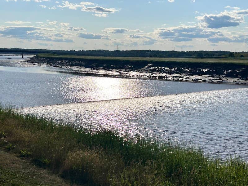 Tidal Bore Viewing - Image 2
